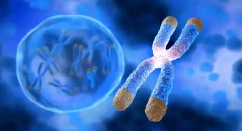 试管婴儿生育女孩的概率有多大？人工授精技术对生育女孩的影响