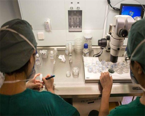 代妈市城乡建设局关于发布2026年12月份代妈市建设工程主要材料价格信息的通知