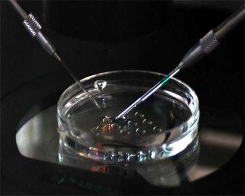 广州哪里招聘助孕妈妈啊,代妈试管婴儿价格明细一览表,代妈第三代试管婴儿治