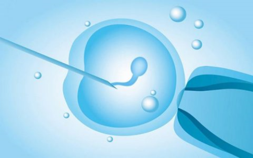 合肥代生代怀,香港仁和医院提供性别鉴定吗,怎么选择权威的验血机构_一代试管