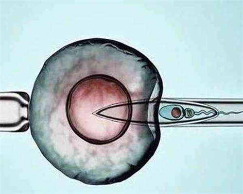 杭州试管代生机构,试管婴儿单胎会早产吗-怀孕梦见吃丸子生男生女_试管打了夜
