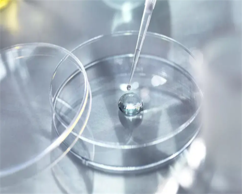 代生公司供卵_代生孩子联系电话|遵义美国供卵试管费用：遵义试管婴儿费用大