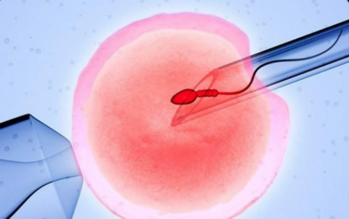 正规代生孩子公司_代生合法的国家|南宁捐卵试管收费流程，佛山供卵试管流程