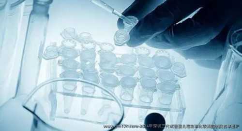 代生是不是亲生,[焦点]天津正规助孕包成功价格-b超胎儿阴囊和卵巢的区别_移植