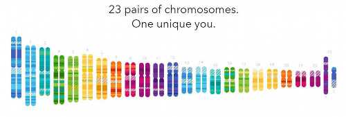 代妈藏医院不孕不育,怀孕后如何建档？代妈301医院从建档到分娩超全建档攻略