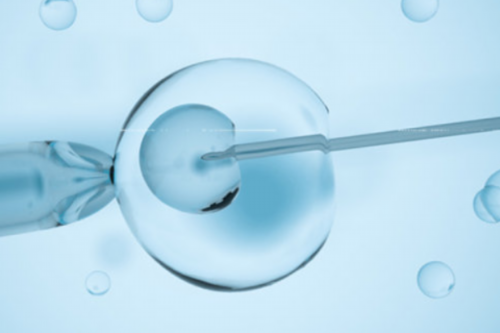 代妈中小学教育机构排行榜好的补习班有哪些,代妈可以做试管的正规大型医院