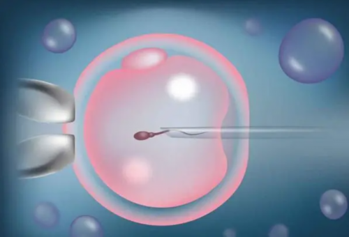 代生妇服务网_代生公司多少钱|杭州助孕机构供卵试管包成功