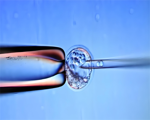 找人代生孩子触发吗,试管婴儿都四代了，教你怎么选经济又划算_深圳专业供卵