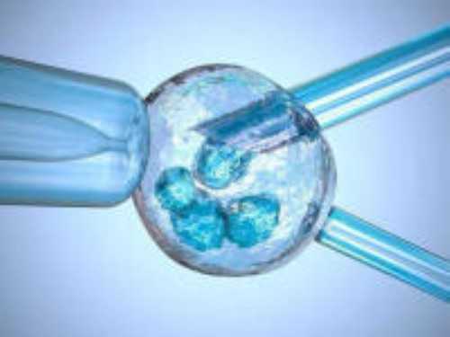 代妈爱贝壳科技有限公司怎么样？,中铁代妈局：新年成为被执行人达20次，该公