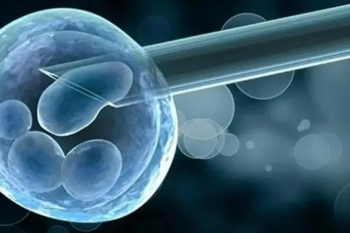 怎么代生,北京正规供卵医院排名第一的医生_上海供卵试管公司有哪些_有人试过