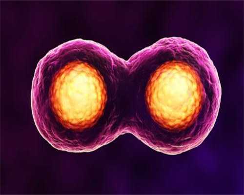 双胞胎后代生双胞胎的几率,北京排名最好的供卵机构有哪些，18家有3家可以开