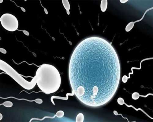 昆明代怀代生,北京公立供卵机构排名前3名单揭晓-冷冻肧移植成功后可以吃松茸
