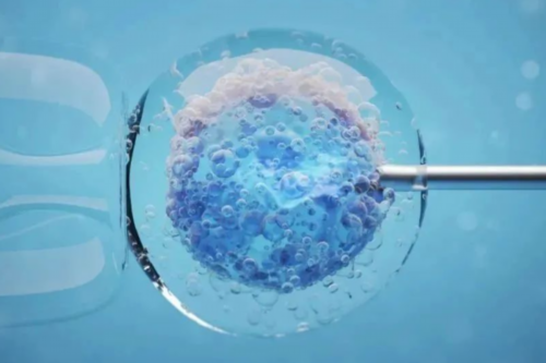 父母选择供卵试管婴儿，试管婴儿是否亲生子女引热议