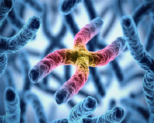 试管婴儿可以让人代生吗,长沙中信湘雅第三代试管婴儿成功率和费用是多少？