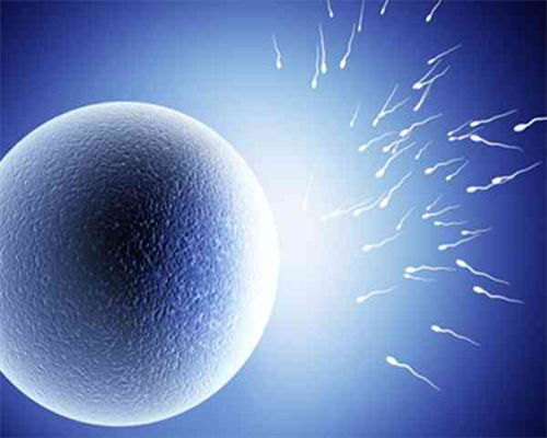 全国最出名试管医院排名榜最新：哪些医院是试管婴儿的翘楚？