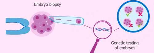 代妈妈妈告诉你，如果偷偷知道胎儿的性别,备孕准爸妈注意！2026代妈有资质人