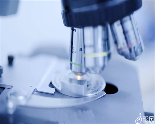 郑州试管代生机构,输卵管堵塞能做试管吗？什么情况下能做试管婴儿？_上海供