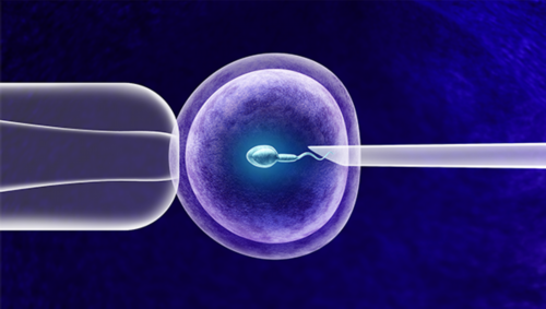 #代妈富士康发布员工留任奖金政策#，最高5000元