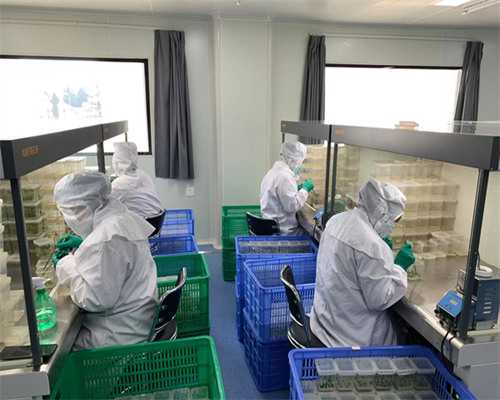 上海试管代生机构,做试管婴儿前一天已遗精会不会影响精子质量_供卵源可靠吗