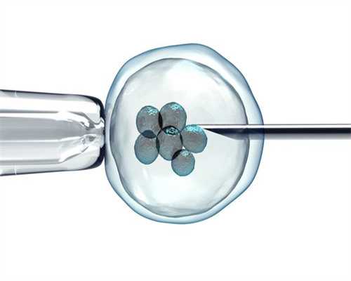 婴儿发育的关键阶段及注意事项