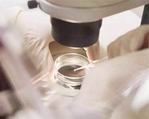 宝宝公主鞋女秋冬穿搭指南