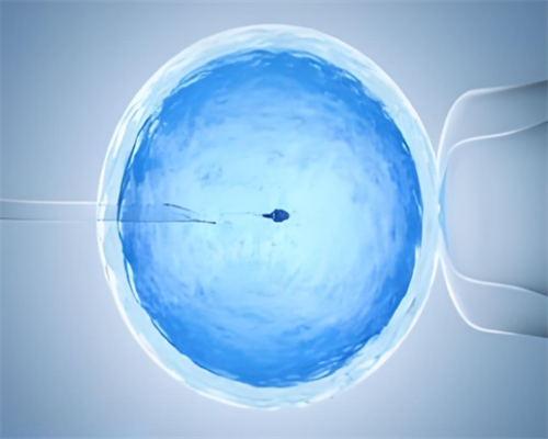 代妈有哪些不需要结婚证的试管医院,代妈有哪些不需要结婚证的试管医院？?