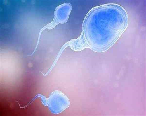 上环后月经不来怎么办，上环后月经不来网友经验分享