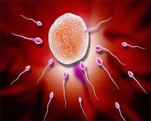 国外试管婴儿可以找人代生吗,选事业还是工作？做试管婴儿会耽误工作吗？_上