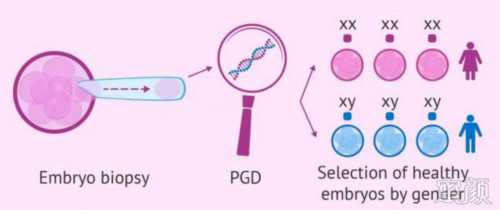 天津试管代生机构,我做了第一代试管婴儿卵泡没有受精，医生说卵泡质量不好