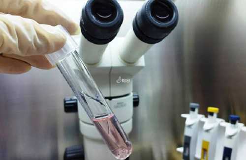 佳乐试管自然周期移植前吃补的作用是什么