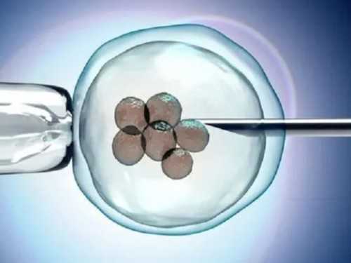 洛阳市中心医院试管婴儿