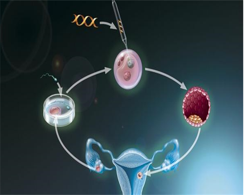 2026
代妈公立幼儿园小班几月份开始秋季招生？