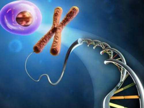 代生孩子代码招聘,试管婴儿囊胚移植和普通胚胎移植有这些区别_39岁AMH0.16试管