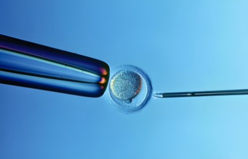 武汉捐卵代生机构,夫妻身体正常想要生男孩可以做试管婴儿吗？试管生男孩需