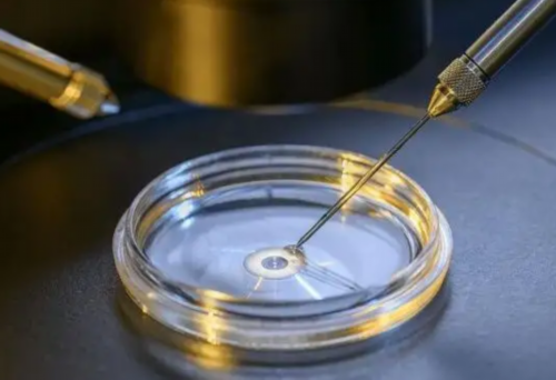 去哪找个代生女_有代生的群吗|湖州排名前十的试管医院有哪些？附详细成功率