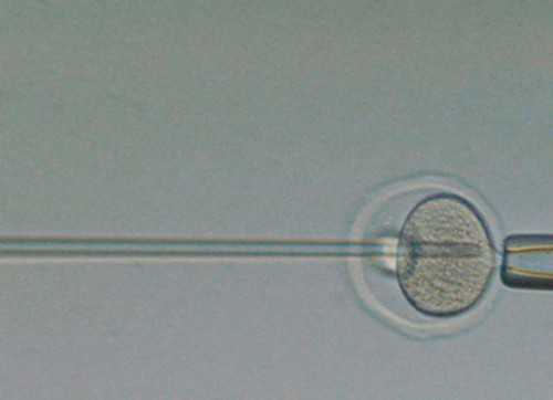 代妈身高不低于多少,排名前代妈协和医院、代妈交通大学附属瑞金医院、复旦