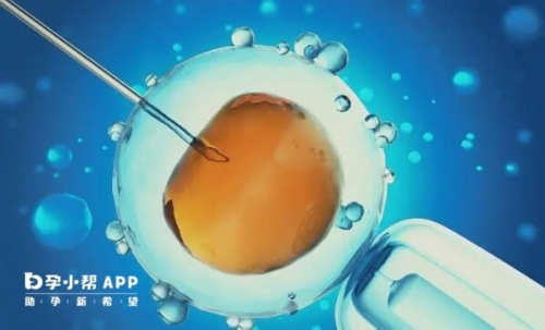 如何自己催奶，乳贴是什么