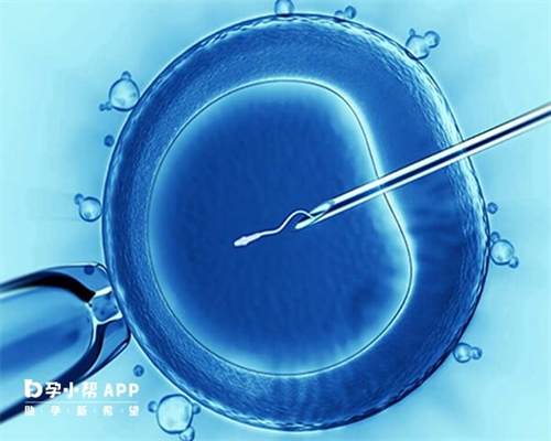 小学舞蹈社团活动教案？拔河比赛策划案