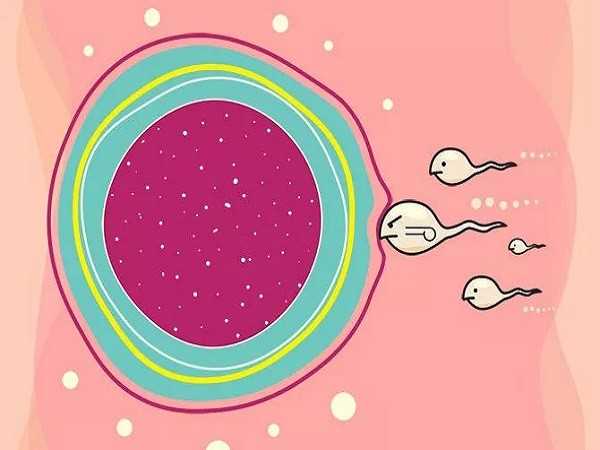 大同借卵生子不成功_成都试管婴儿科普：80、90后的青年卵巢早衰了还能做试管