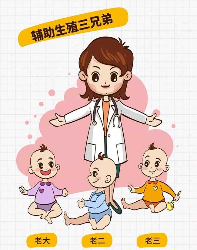 香港洗精费用_香港43岁试管婴儿生儿子准确吗_试管婴儿的步骤过程详细图解，